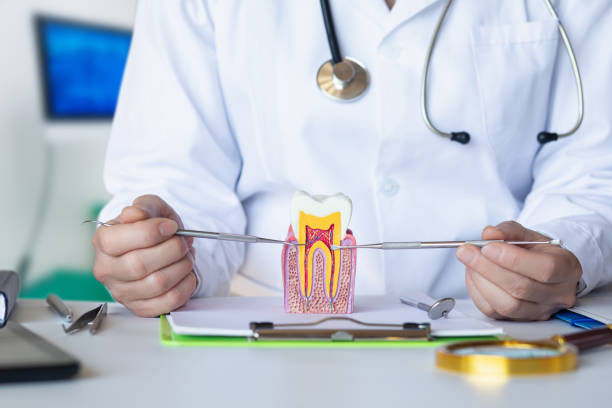 Best Emergency Dentist for Special Needs Patients in Emah, OK